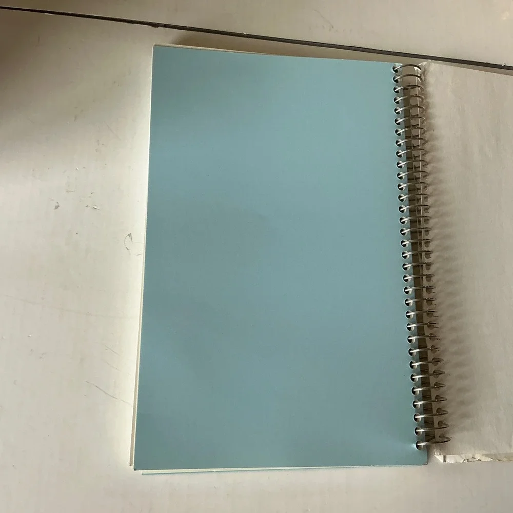 St. Catherine's Vintage Centennial Cookbook Oyens Iowa Spiral Bound 2000